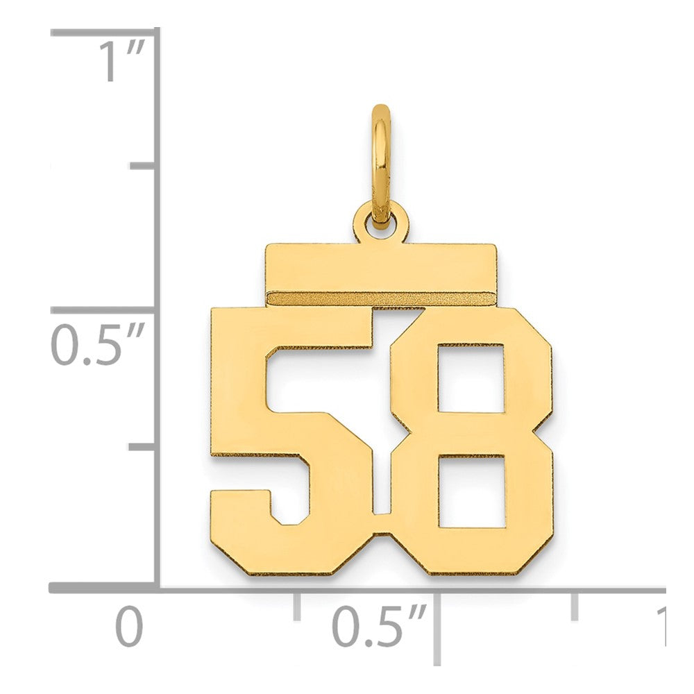 14k Small Polished Number 58 Charm
