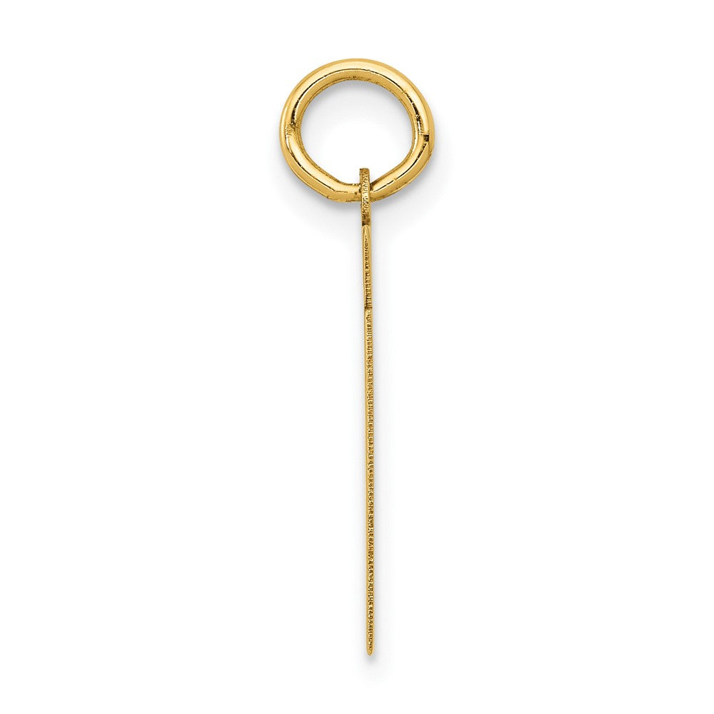 14k Small Polished Number 61 Charm