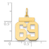 14k Small Polished Number 69 Charm