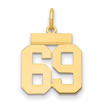 14k Small Polished Number 69 Charm