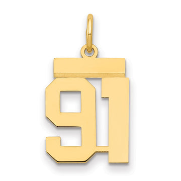 14k Small Polished Number 91 Charm