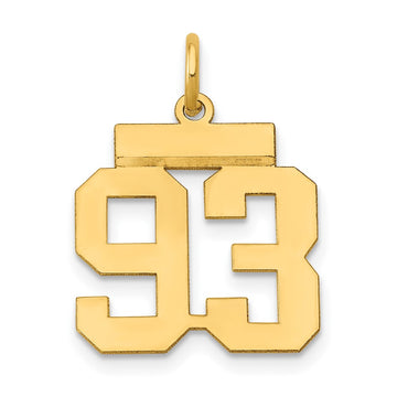 14k Small Polished Number 93 Charm