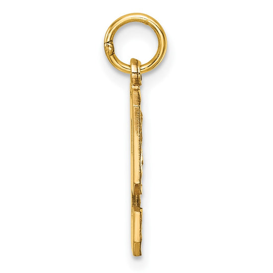 14k Medium Diamond-cut Number 9 Charm