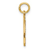 14k Medium Diamond-cut Number 9 Charm