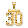 14k Medium Diamond-cut Number 30 Charm