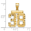 14k Medium Diamond-cut Number 38 Charm