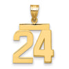 Polished Number Charms — 24