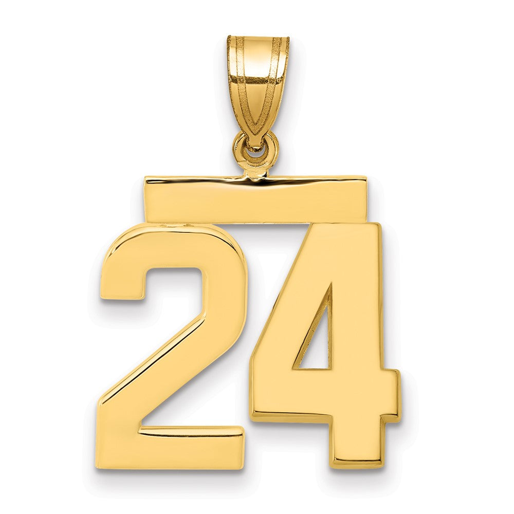 Polished Number Charms — 24