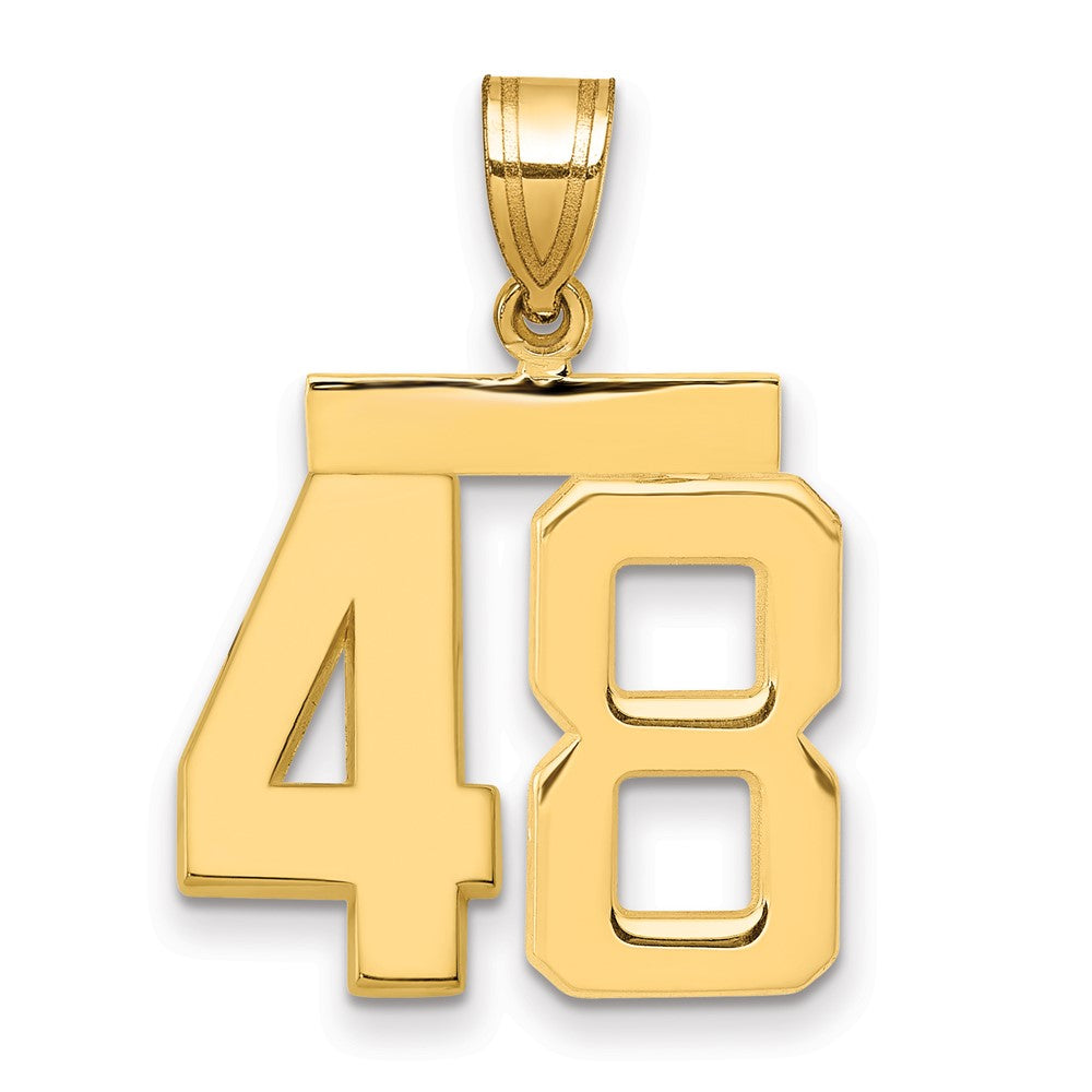 Polished Number Charms — 48