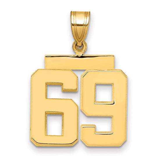 Polished Number Charms — 69