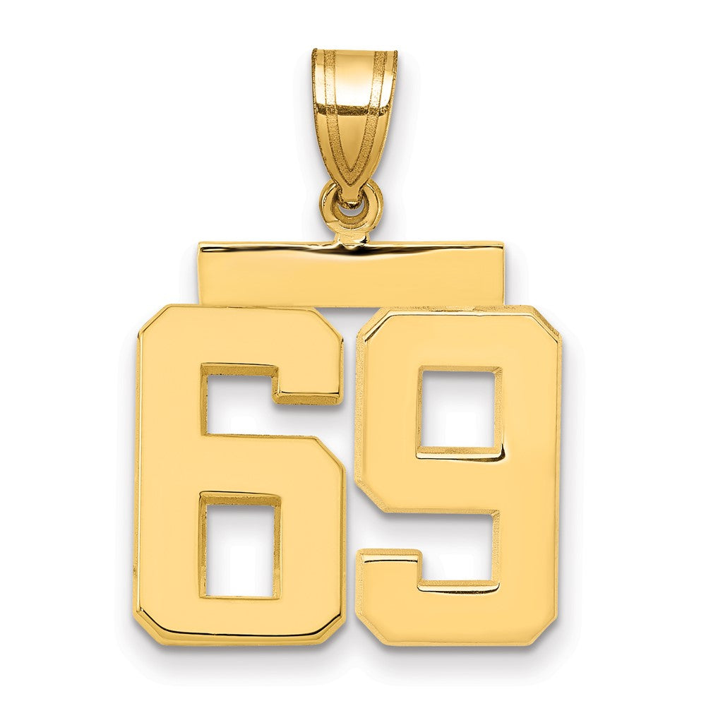 Polished Number Charms — 69