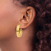 Gold Half Round Tube Oval Omega Back Hoop Earrings
