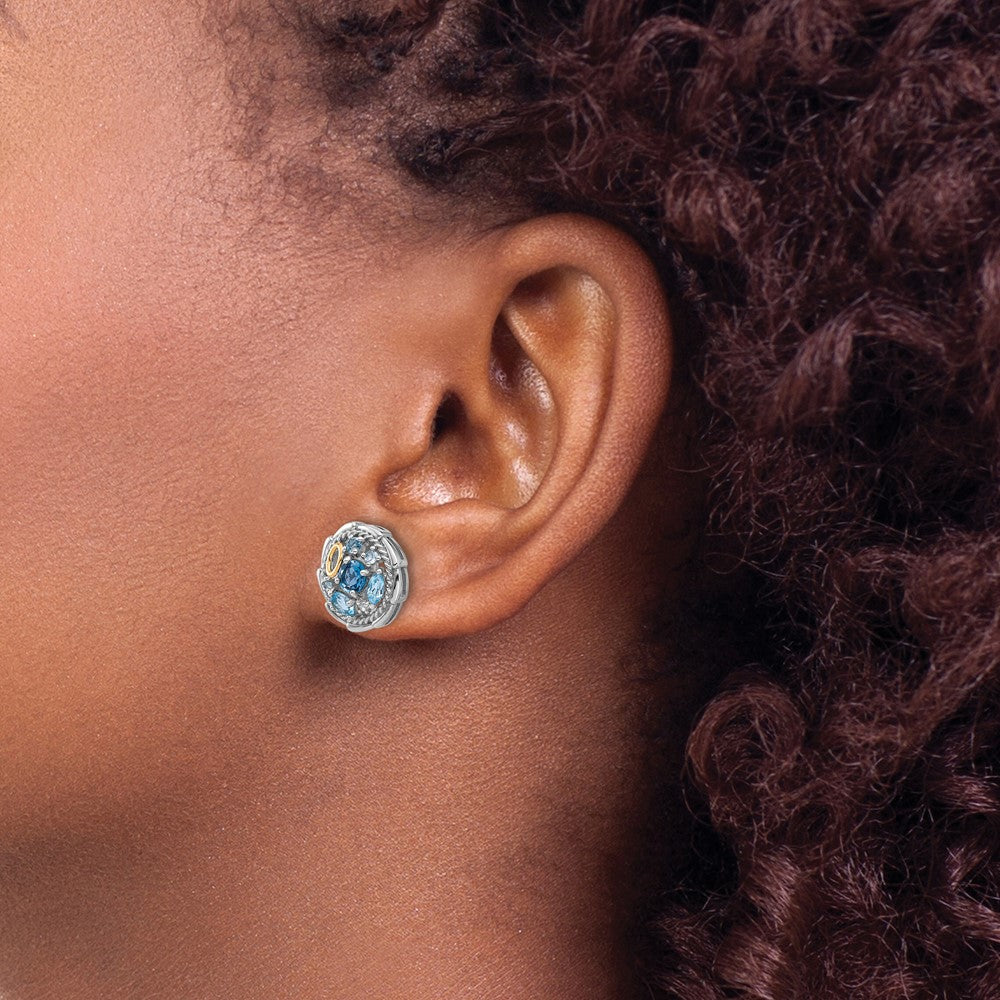 Shey Couture Sterling Silver Rhodium-plated with 14k Accent .59 London Blue Topaz / .70 Swiss Blue Topaz / .01White Topaz Earrings