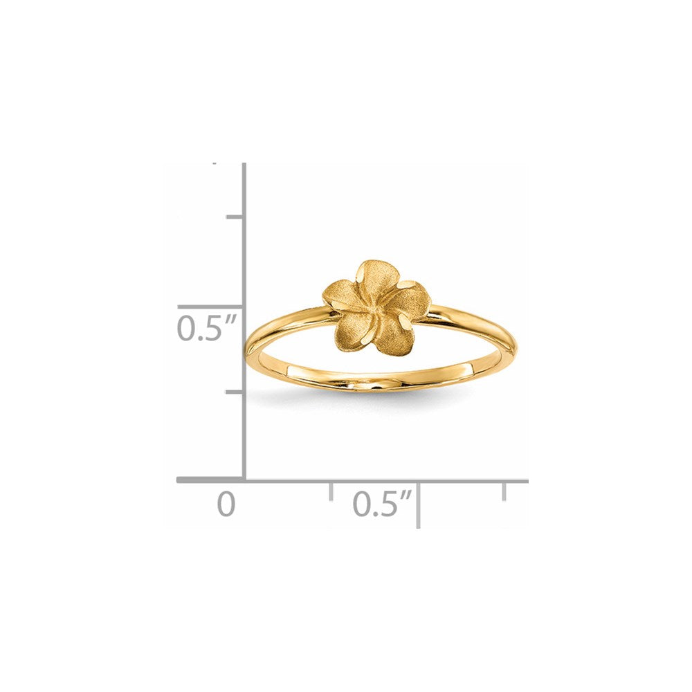 Gold Polished Plumeria Rings