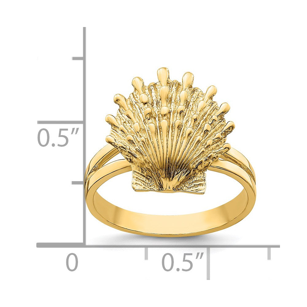 14K Lions Paw Shell Ring