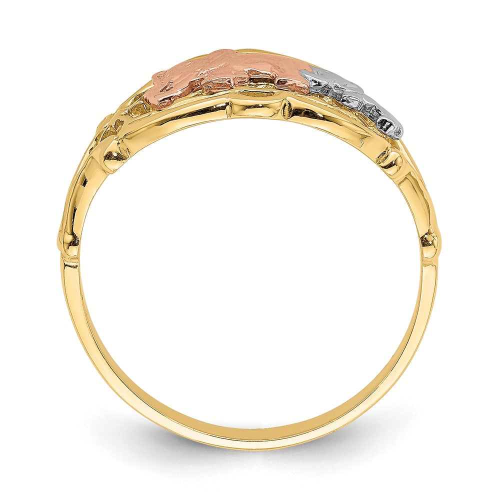 14k Two-Tone with White Rhodium Two Elephants Ring