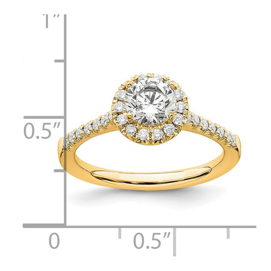 Halo Diamond Semi-mount & Complete Engagement Rings