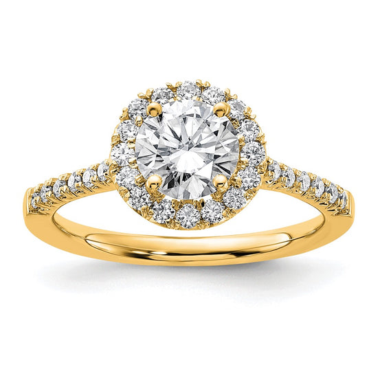 Halo Diamond Semi-mount & Complete Engagement Rings