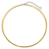 14k Two-tone 4mm Lightweight Reversible 18 inch Omega Necklace Plus 2 inch Heart Chain Extender