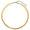 14k Two-tone 6mm Lightweight Reversible 16 inch Omega Necklace Plus 2 inch Heart Chain Extender