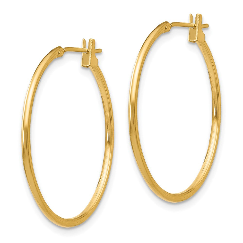 Gold Hoop Earrings
