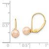 Madi K® Gold FWC Pearl Leverback Earrings