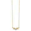 14K with White Rhodium Brushed and Polished Sand Dollar and Starfish 18 inch Necklace
