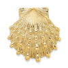 Gold Polished Sea Shell Pendants