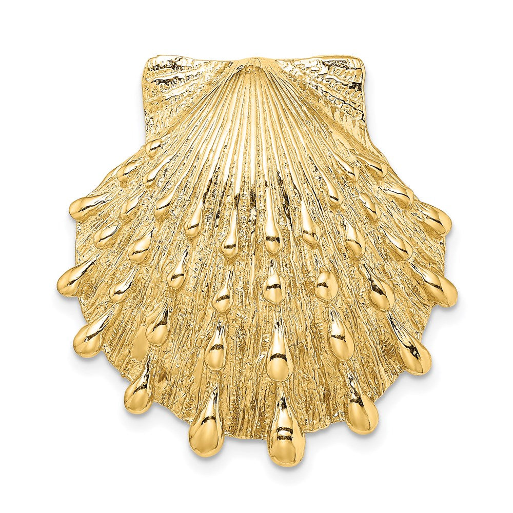 Gold Polished Sea Shell Pendants