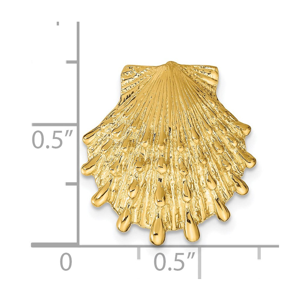 Gold Polished Sea Shell Pendants