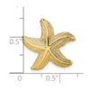 14K Polished and Textured Starfish Omega Slide