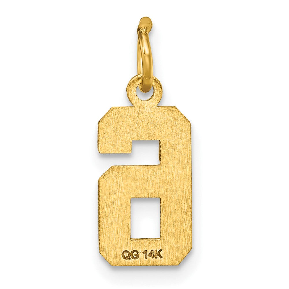 14k Small Brushed Diamond-cut Number 6 Charm
