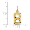 14k Small Brushed Diamond-cut Number 8 Charm
