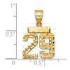14k Small Brushed Diamond-cut Number 29 Charm