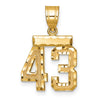 14k Small Brushed Diamond-cut Number 43 Charm