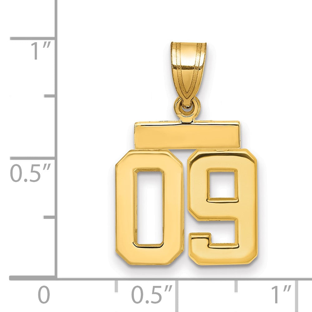 Polished Number Charms — 09