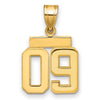 Polished Number Charms — 09