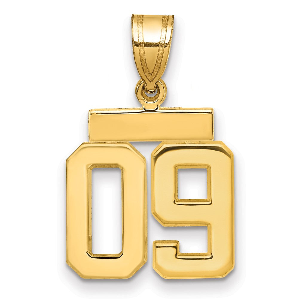 Polished Number Charms — 09