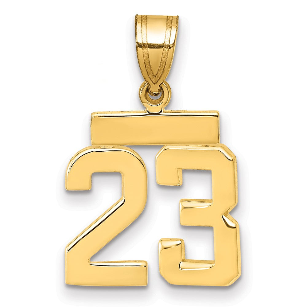 Polished Number Charms — 23