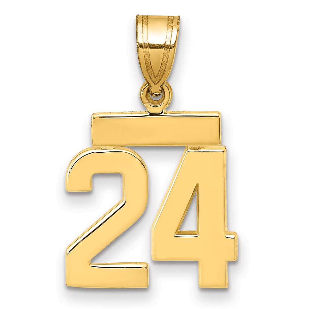 Polished Number Charms — 24