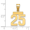 Polished Number Charms — 25