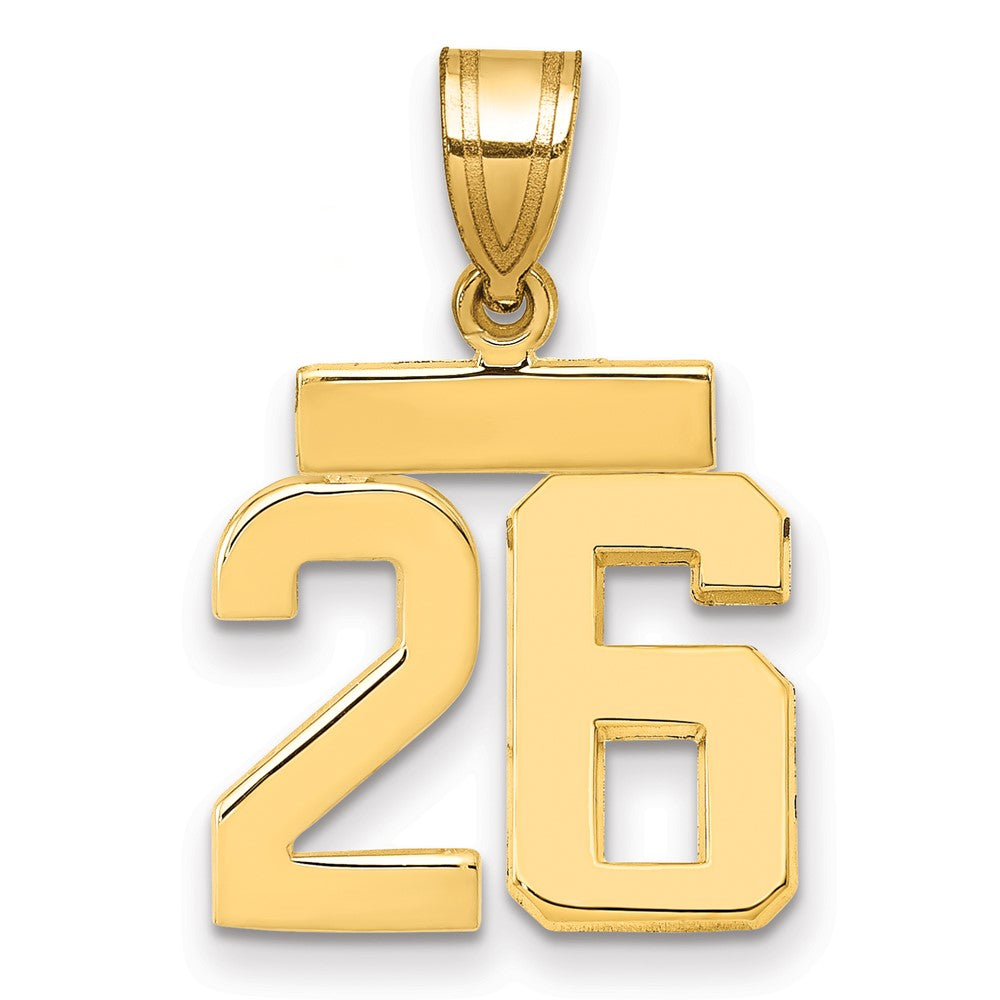 Polished Number Charms — 26