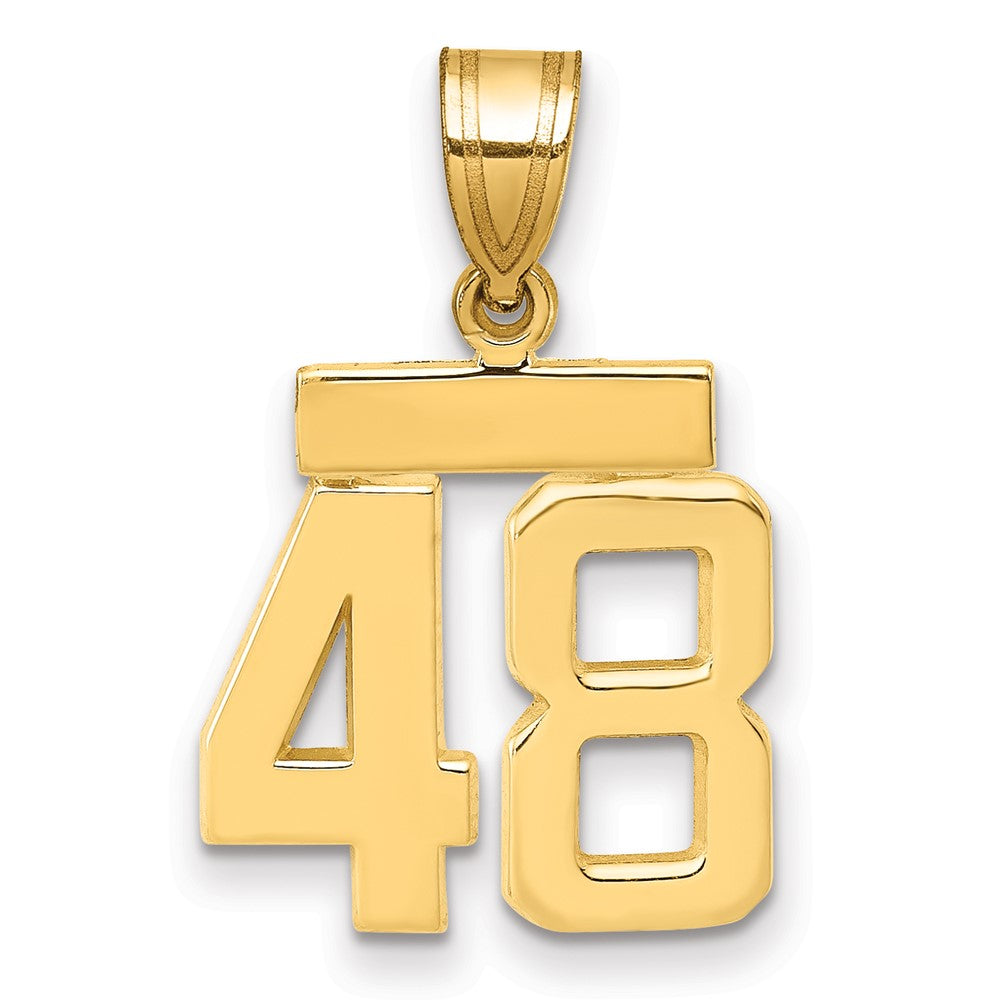 Polished Number Charms — 48