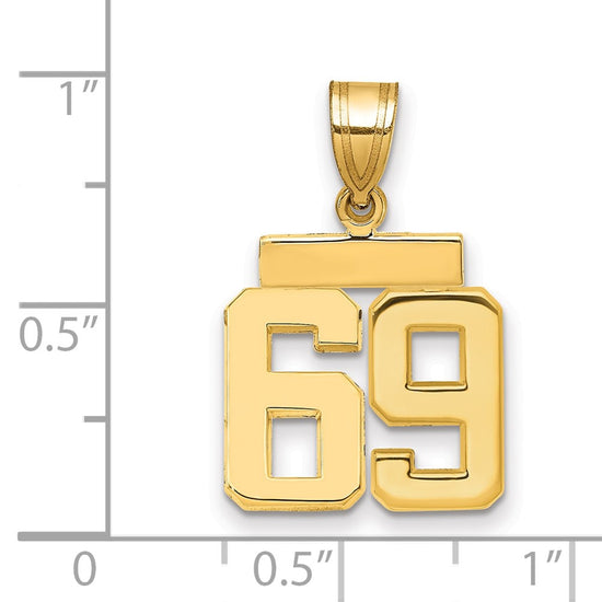 Polished Number Charms — 69
