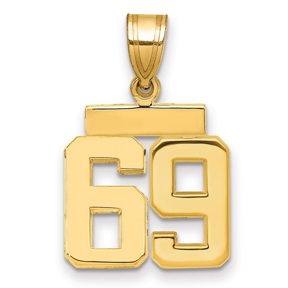 Polished Number Charms — 69