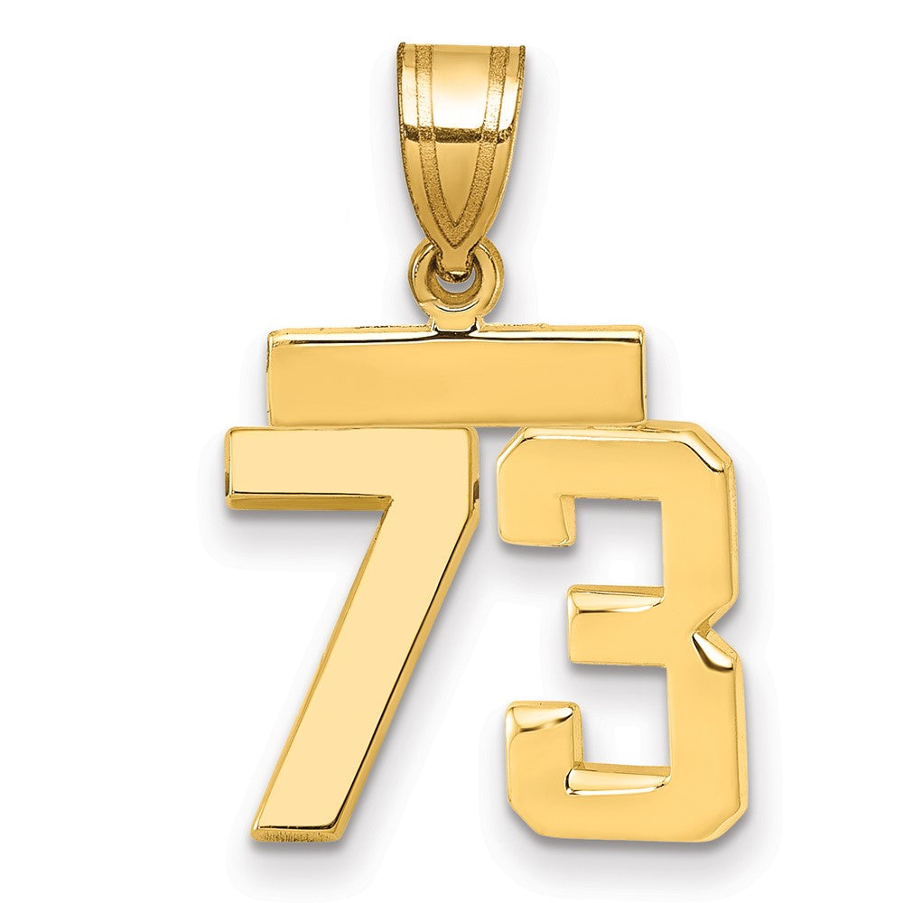 Polished Number Charms — 73