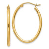 Oval Hoop Earrings