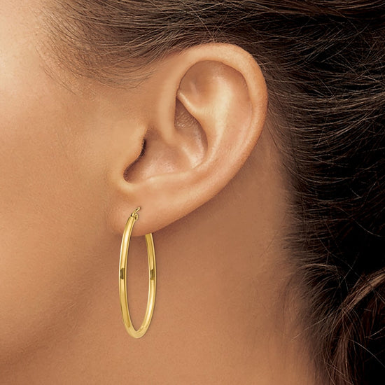 Oval Hoop Earrings