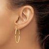 Oval Hoop Earrings