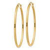 Oval Hoop Earrings